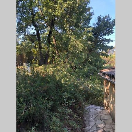 L’Escapade. Entre Aix et Marseille, studio pleine nature. Fuveau Extérieur photo