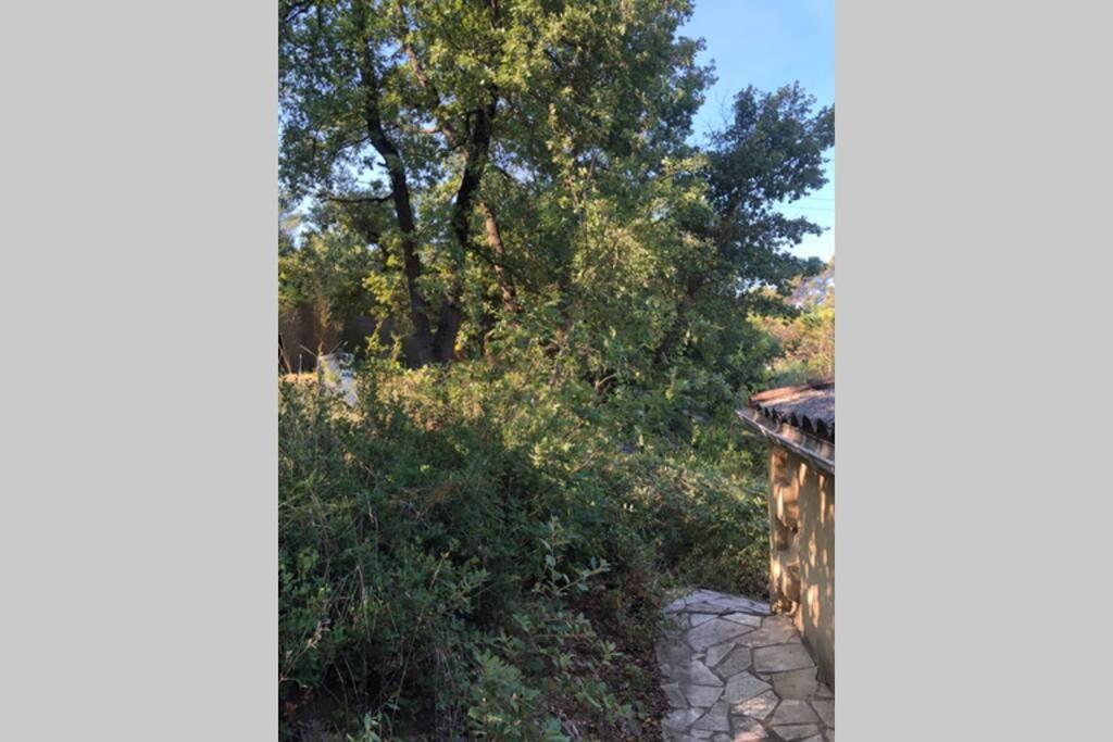 L’Escapade. Entre Aix et Marseille, studio pleine nature. Fuveau Extérieur photo